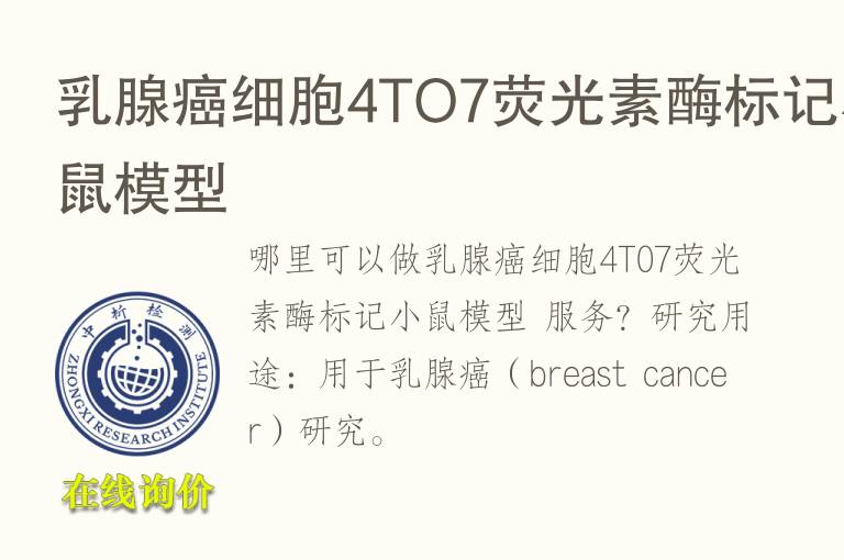 乳腺癌细胞4TO7荧光素<font color='red'>酶</font>标记小鼠模型
