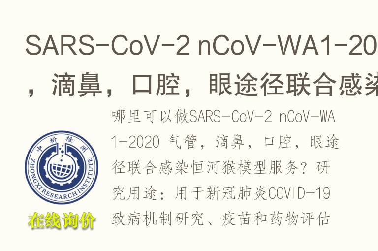 SARS-CoV-2 nCoV-WA1-2020 <font color='red'>气</font>管，滴鼻，口腔，眼途径联合感染恒河猴模型