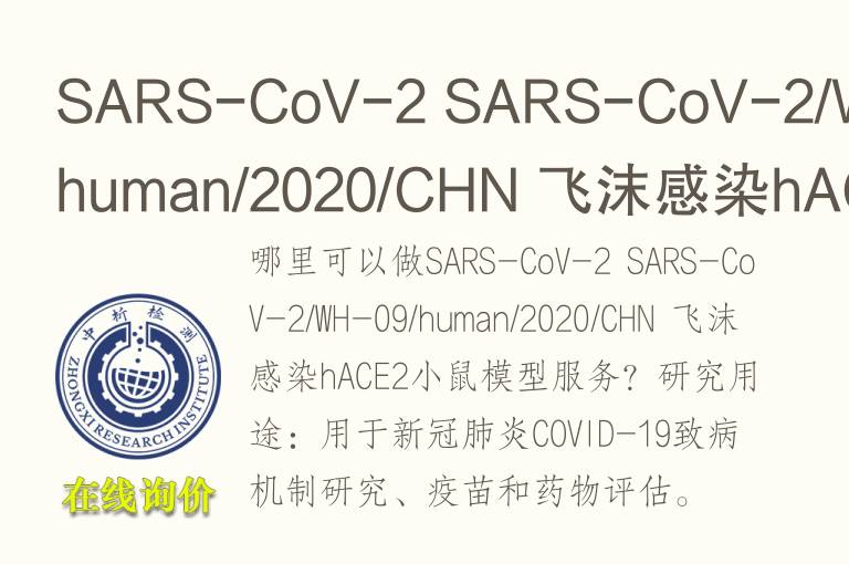 飞沫感染hACE2小鼠<font color='red'>模型</font>