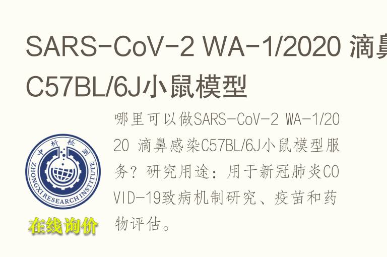 SARS-CoV-2 WA-1/2020 滴鼻感染C57BL/6J小鼠<font color='red'>模型</font>