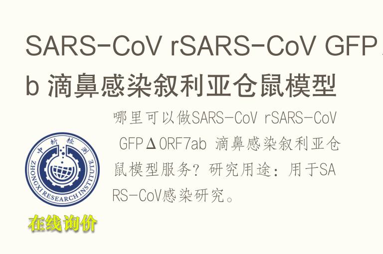 SARS-CoV rSARS-CoV GFPΔORF7ab 滴鼻感染叙利亚仓鼠<font color='red'>模型</font>