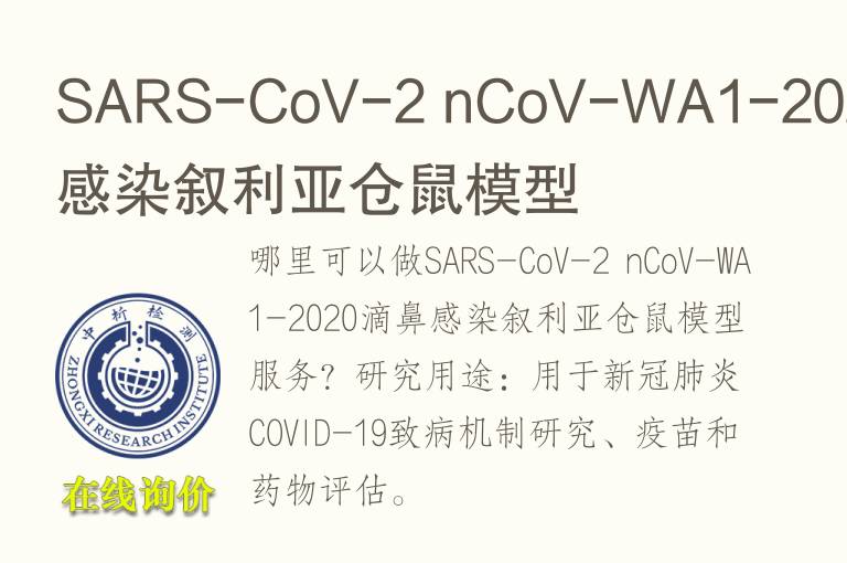 SARS-CoV-2 nCoV-WA1-2020滴鼻感染叙利亚仓鼠<font color='red'>模型</font>