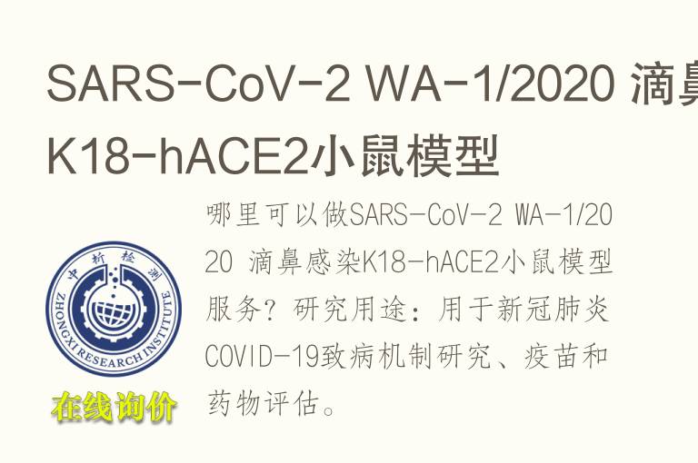 SARS-CoV-2 WA-1/2020 滴鼻感染K18-hACE2小鼠<font color='red'>模型</font>