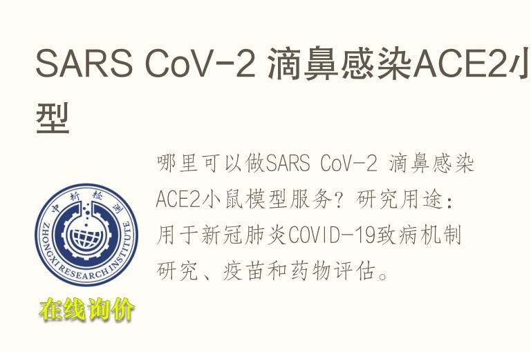 SARS CoV-2 滴鼻感染ACE2小鼠<font color='red'>模型</font>