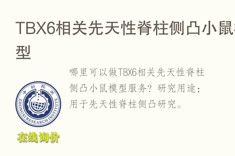 TBX6相关先天性脊柱侧凸小鼠<font color='red'>模型</font>