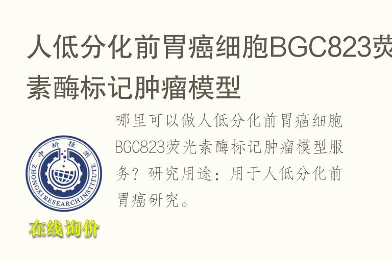 人低分化前胃癌细胞BGC823荧光素酶标记肿瘤<font color='red'>模型</font>