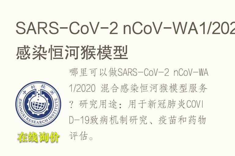 混合感染恒河猴<font color='red'>模型</font>