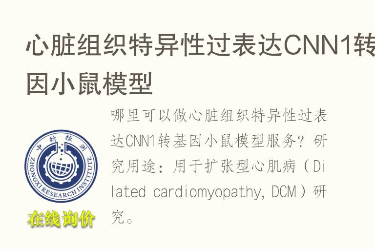 心脏组织特异性过表达CNN1转基因小鼠<font color='red'>模型</font>