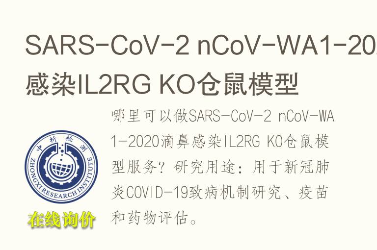 SARS-CoV-2 nCoV-WA1-2020滴鼻感染IL2RG KO仓鼠<font color='red'>模型</font>