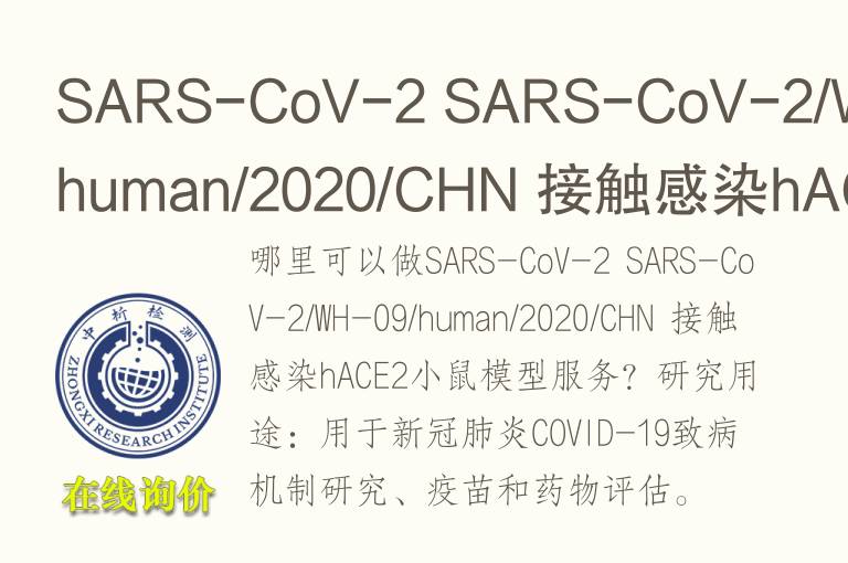 接触感染hACE2小鼠<font color='red'>模型</font>