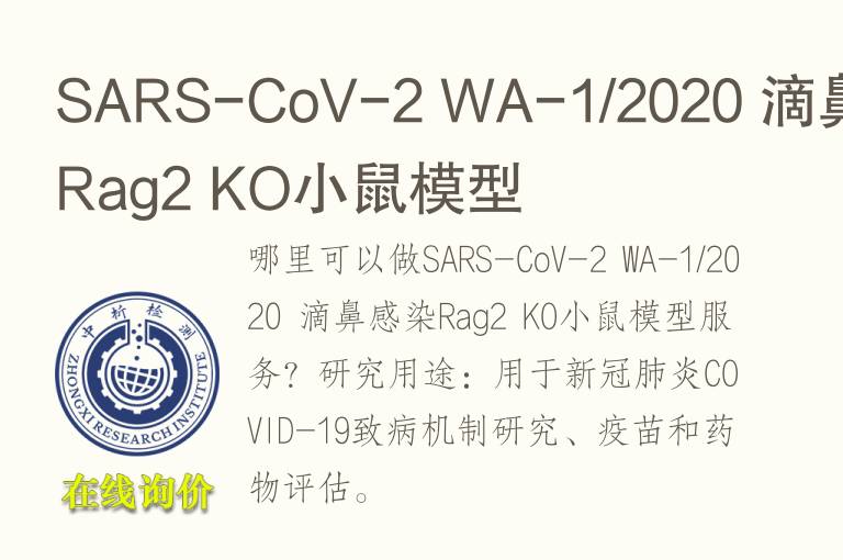 SARS-CoV-2 WA-1/2020 滴鼻感染Rag2 KO小鼠<font color='red'>模型</font>